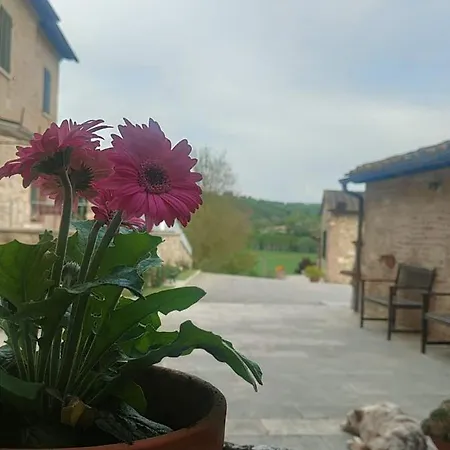 L Antico Ritrovo 아파트 *