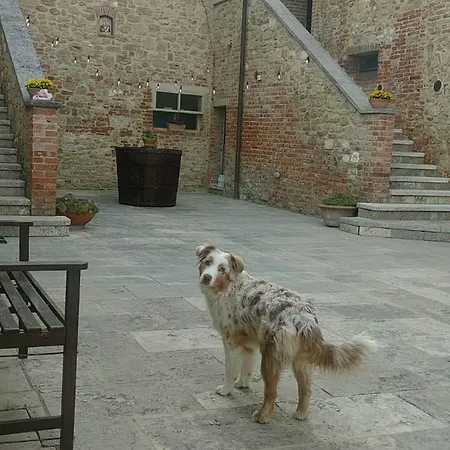 L Antico Ritrovo * 아시아노
