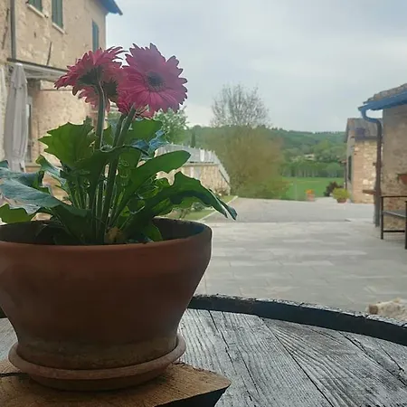 L Antico Ritrovo 아파트 아시아노